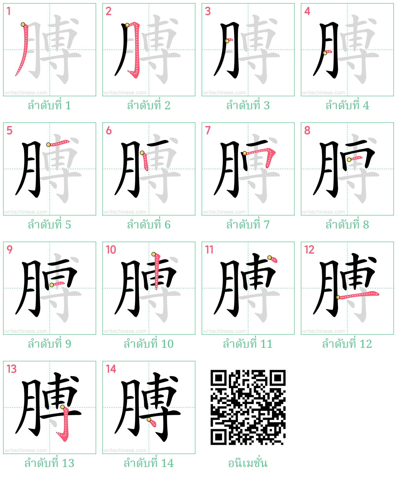 膊 ลำดับการเขียน