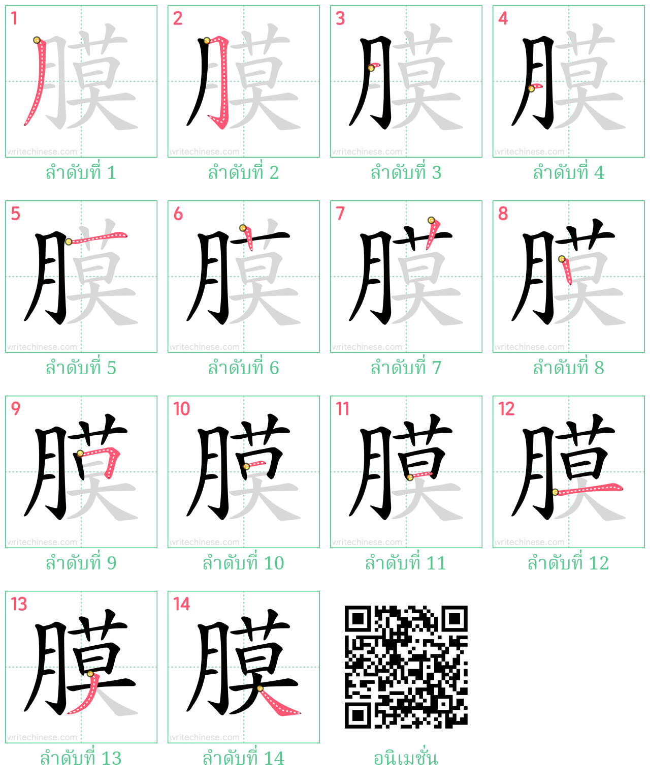 膜 ลำดับการเขียน