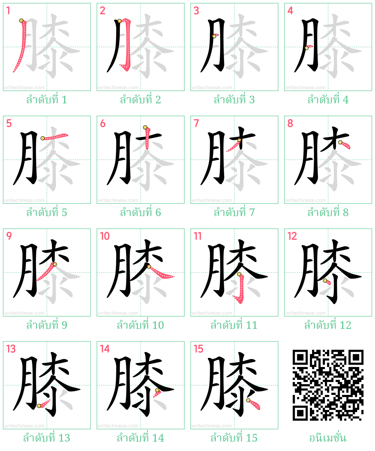 膝 ลำดับการเขียน