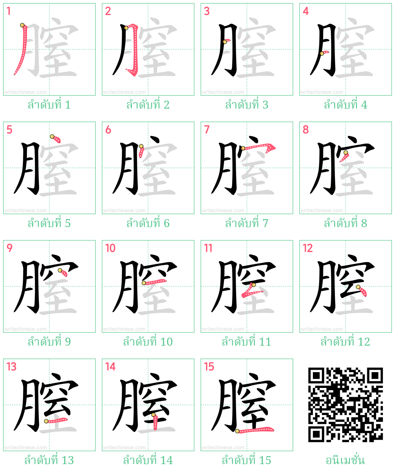 膣 ลำดับการเขียน