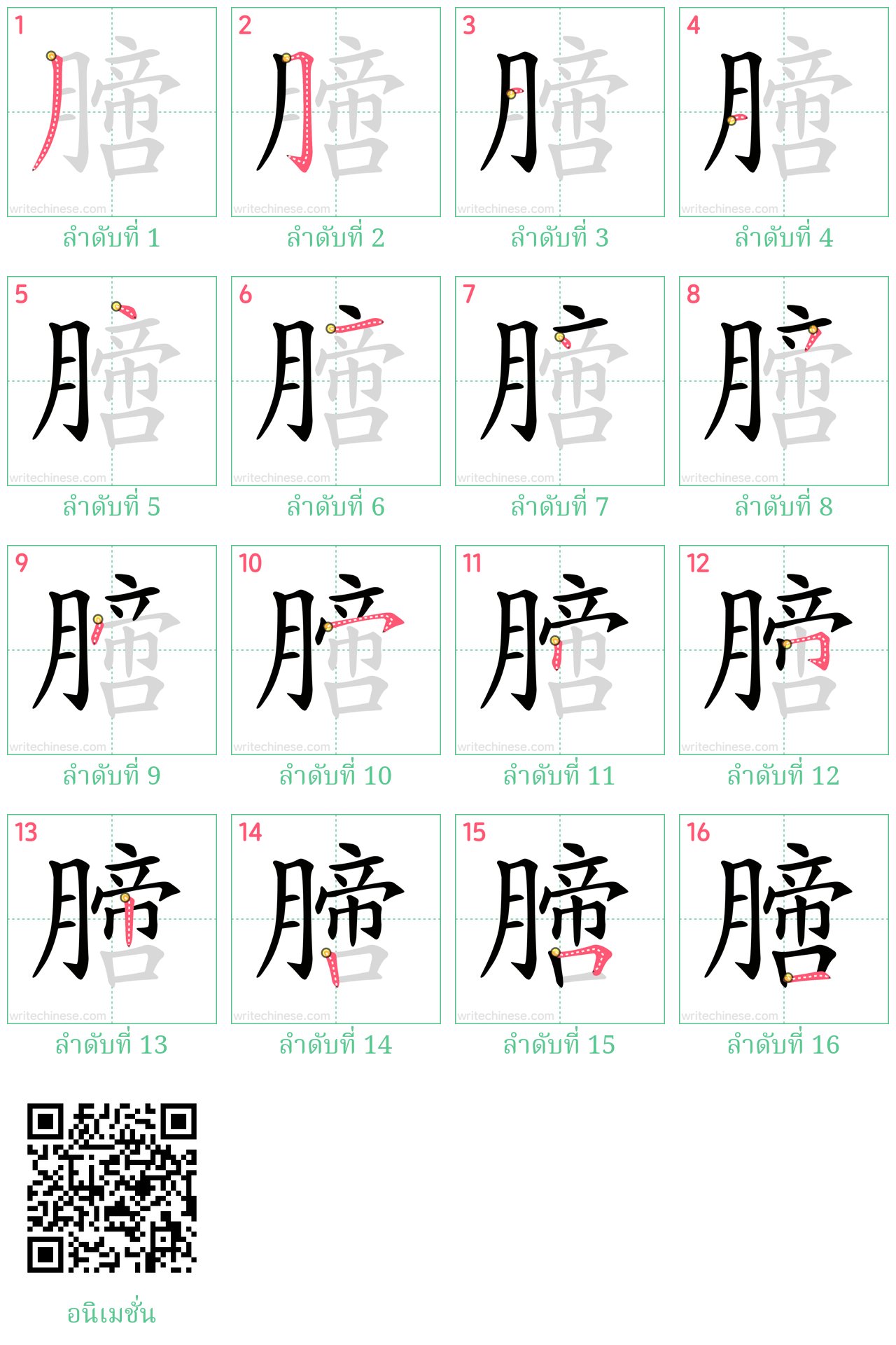 膪 ลำดับการเขียน