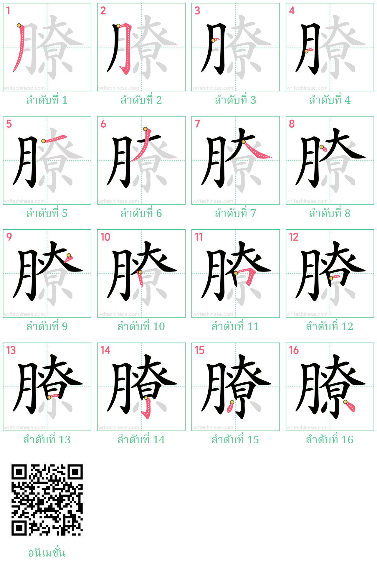 膫 ลำดับการเขียน