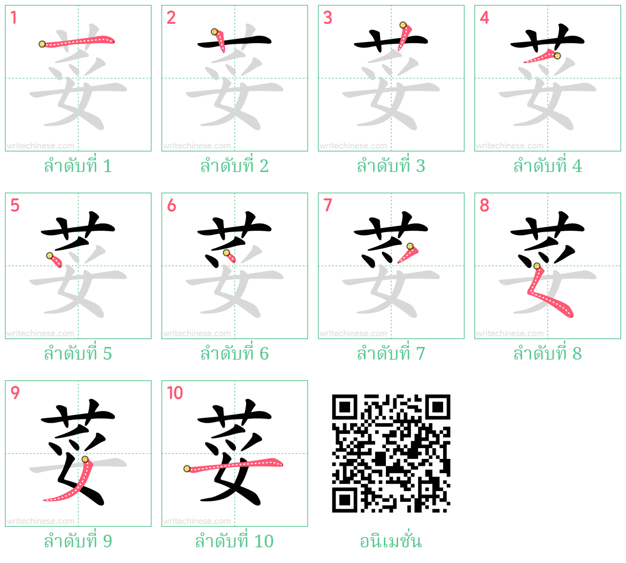 荽 ลำดับการเขียน