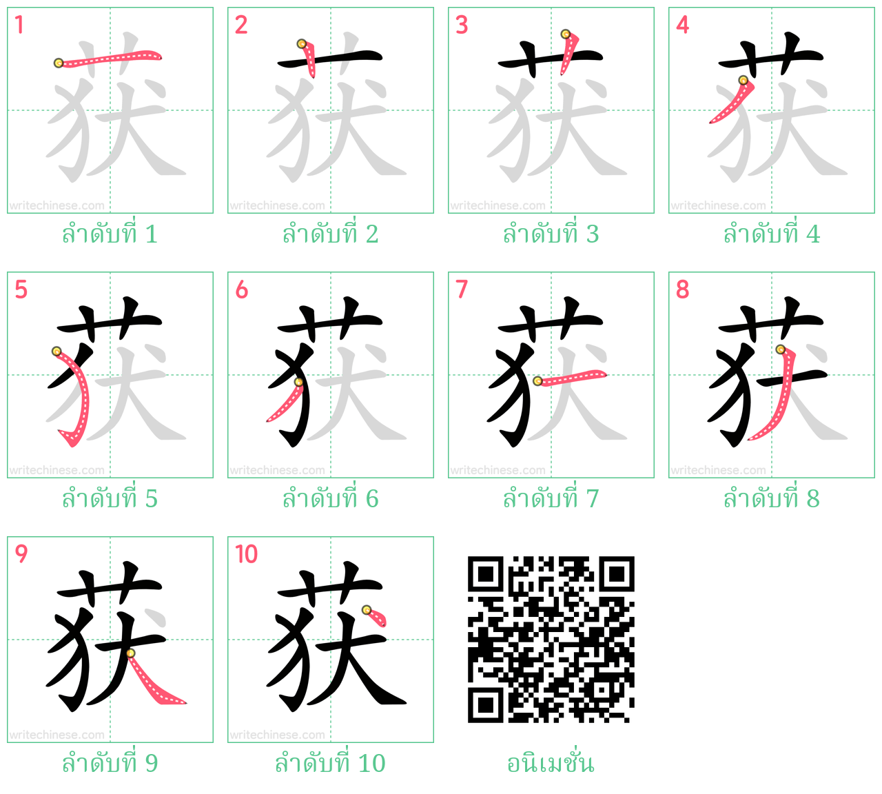 获 ลำดับการเขียน