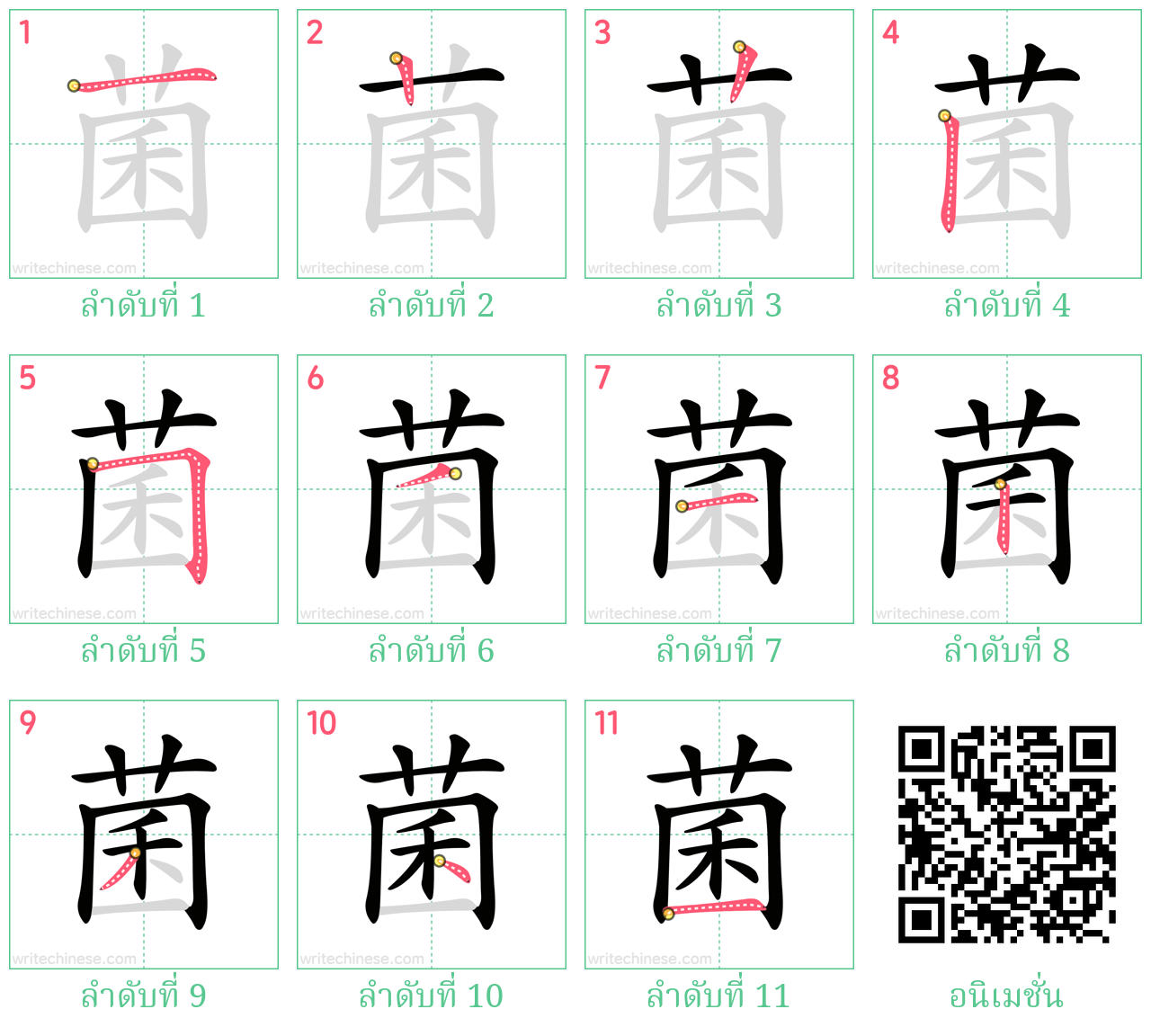 菌 ลำดับการเขียน