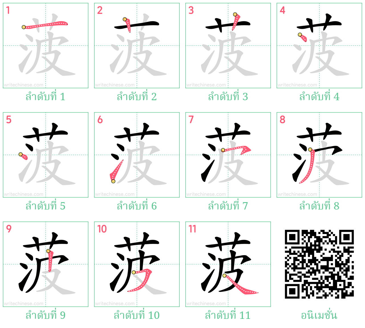 菠 ลำดับการเขียน