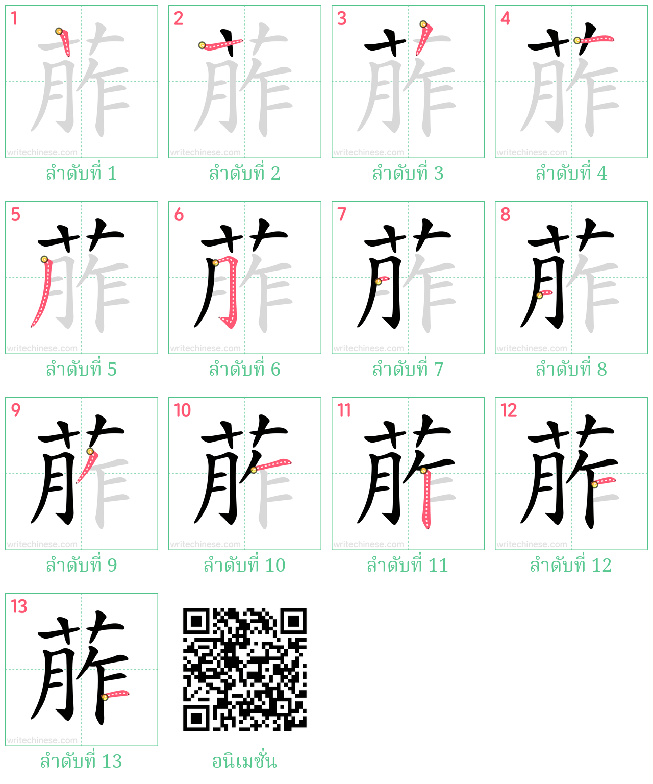 葄 ลำดับการเขียน