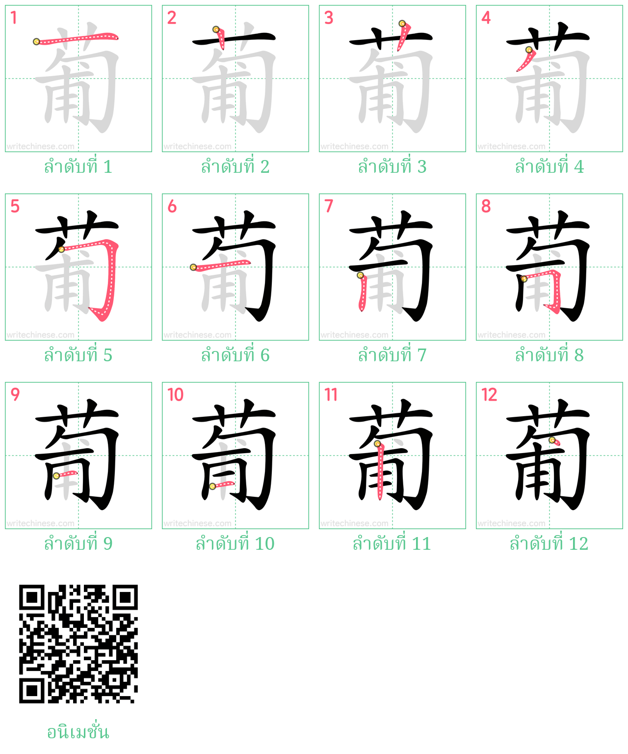 葡 ลำดับการเขียน