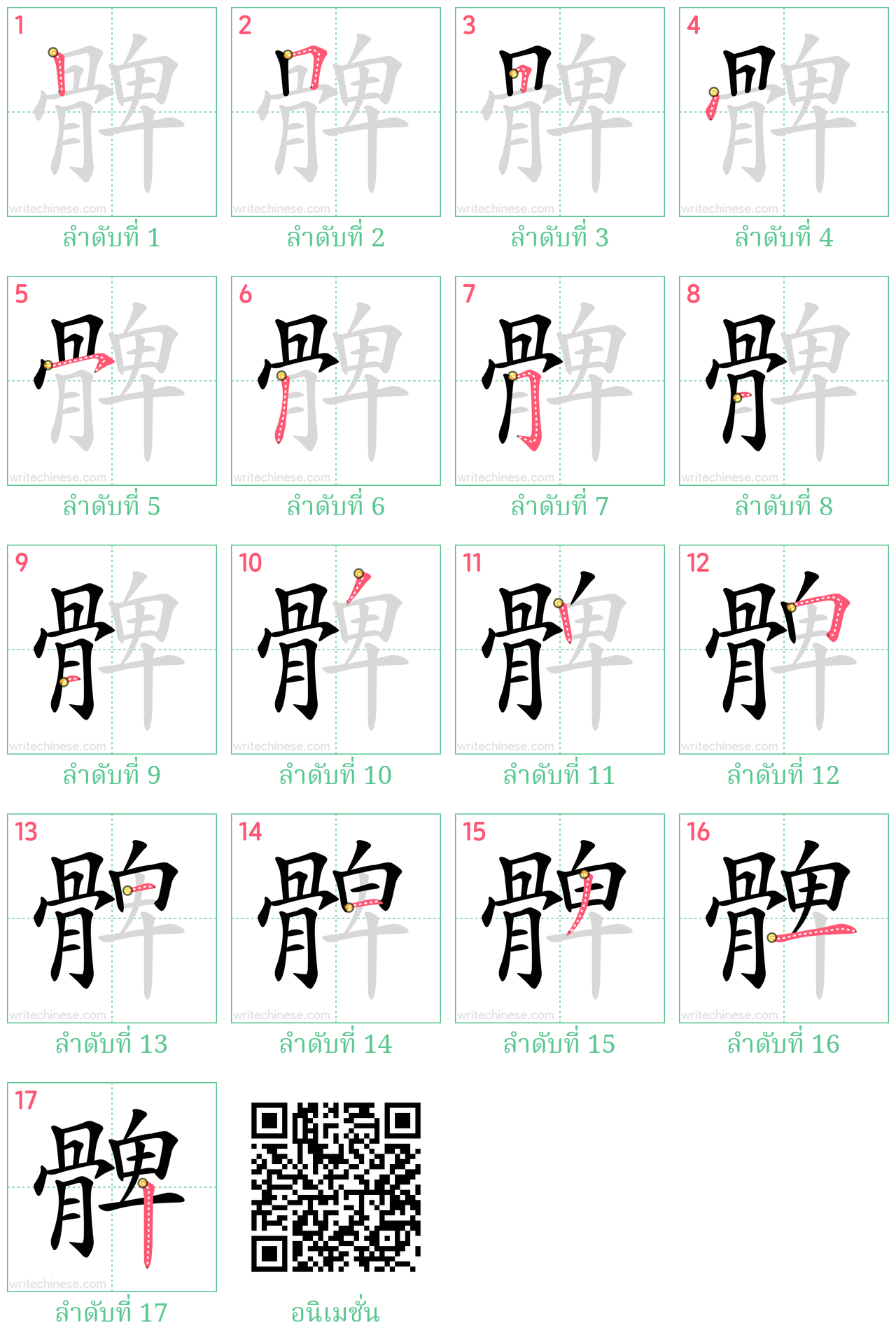 髀 ลำดับการเขียน